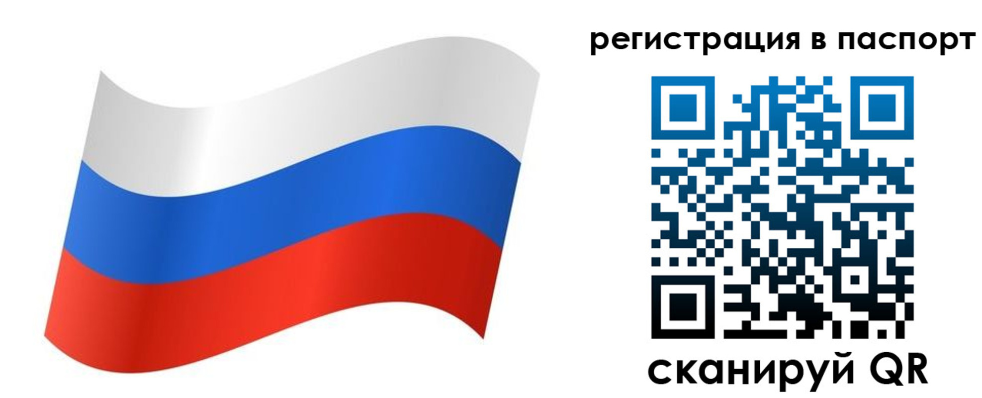 найти адрес прописки в Новодвинске